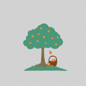 Alternative view of Plant in an Agroforest