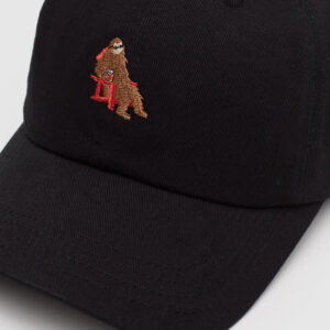 Alternative view of Sasquatch Peak Hat