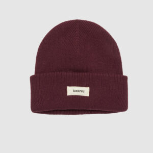 Alden Beanie