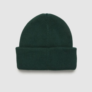 Alternative view of Alden Beanie