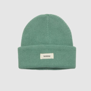 Alden Beanie