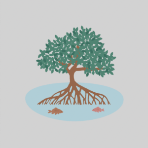 Alternative view of Plant in a Mangrove Forest