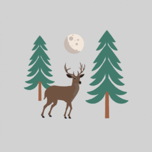 Alternative view of Plant in a Temperate Dry Forest