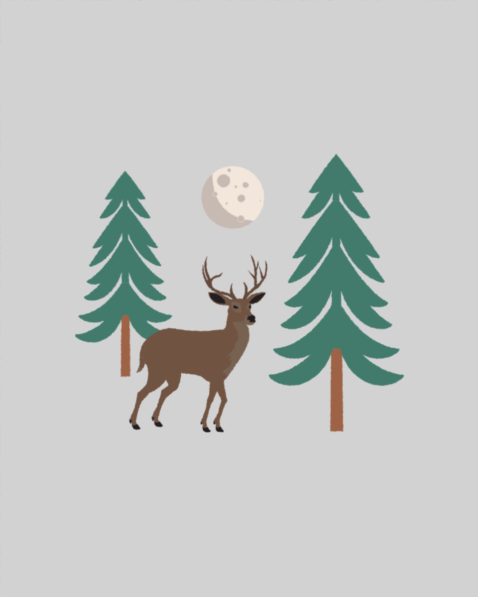 Plant in a Temperate Dry Forest - Image 2