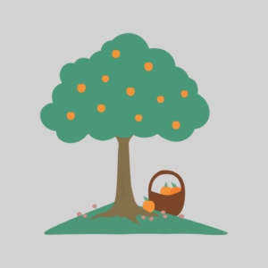 Plant in an Agroforest