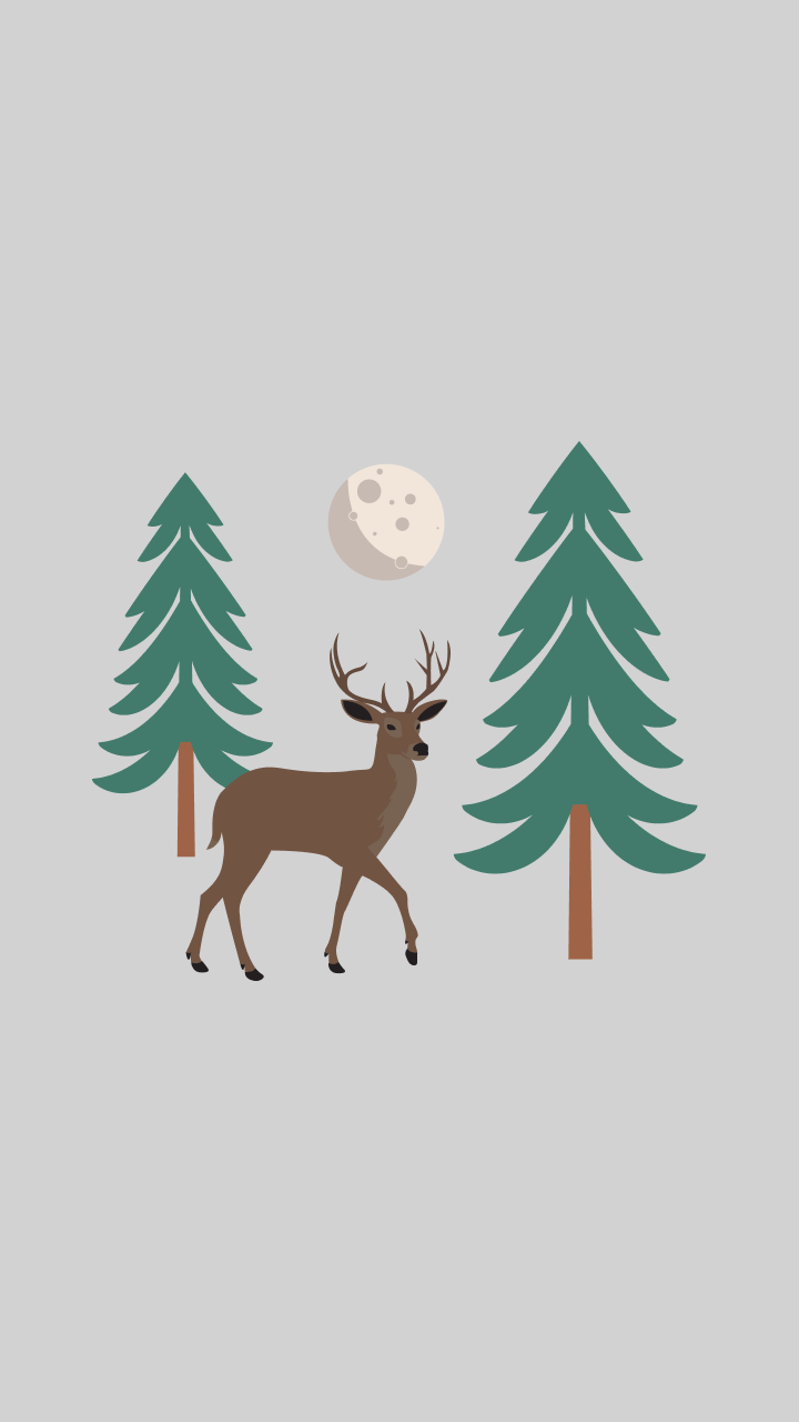 Plant in a Temperate Dry Forest